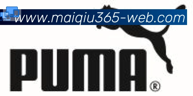 365买球合作伙伴